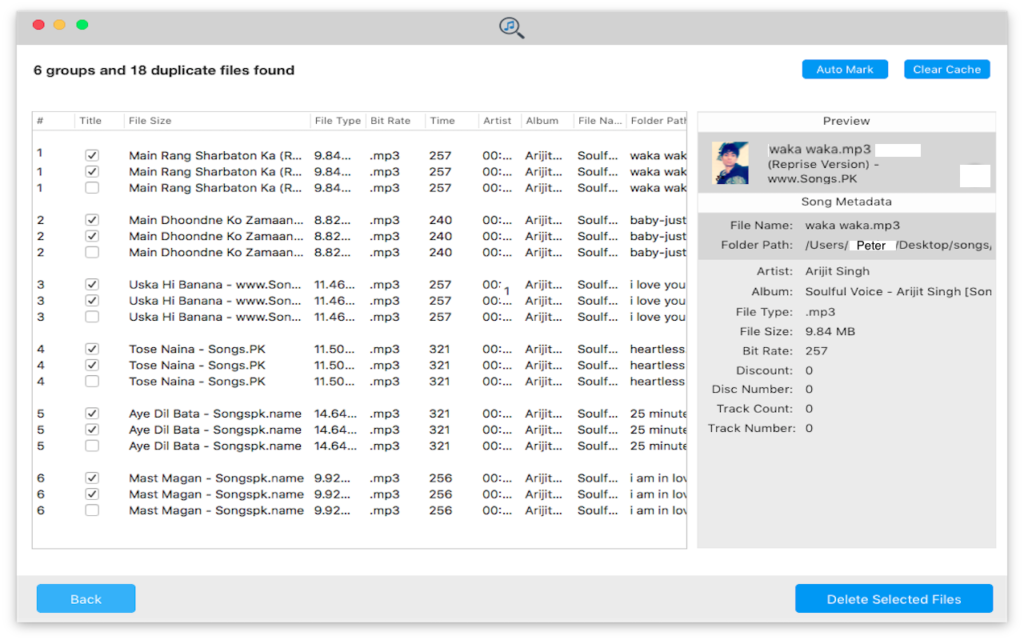 Duplicate Music Cleaner